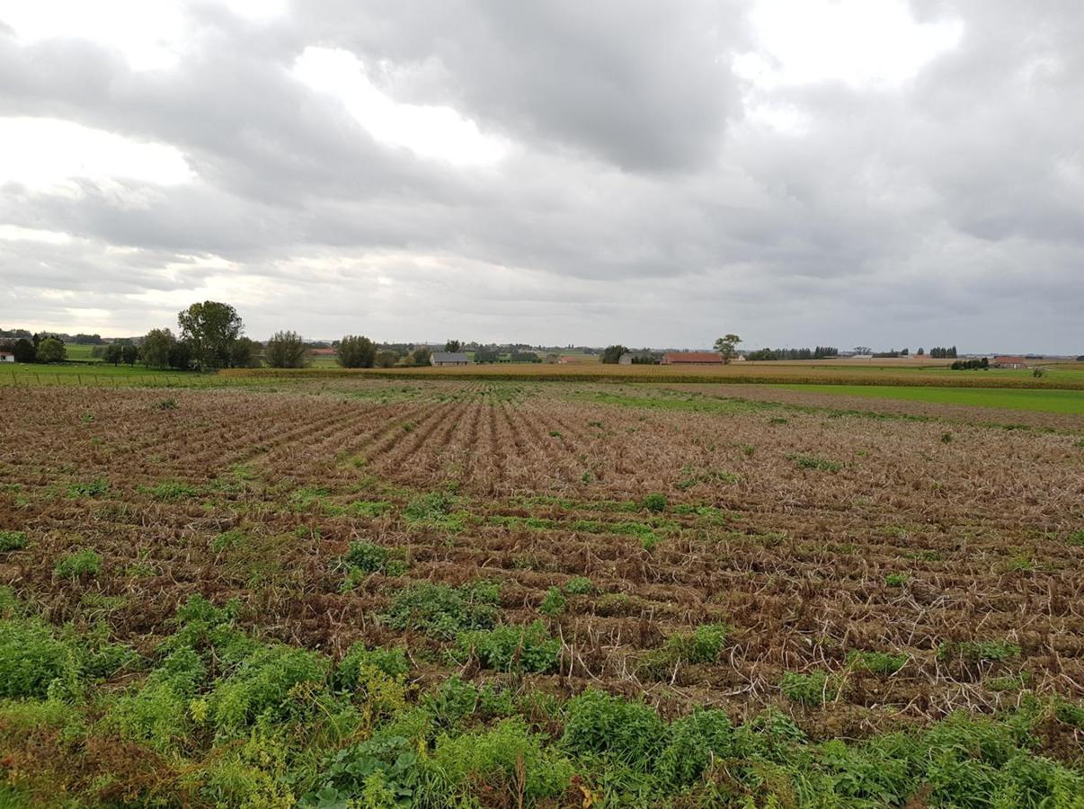 De Kouterhoeve Moorslede Exteriör bild